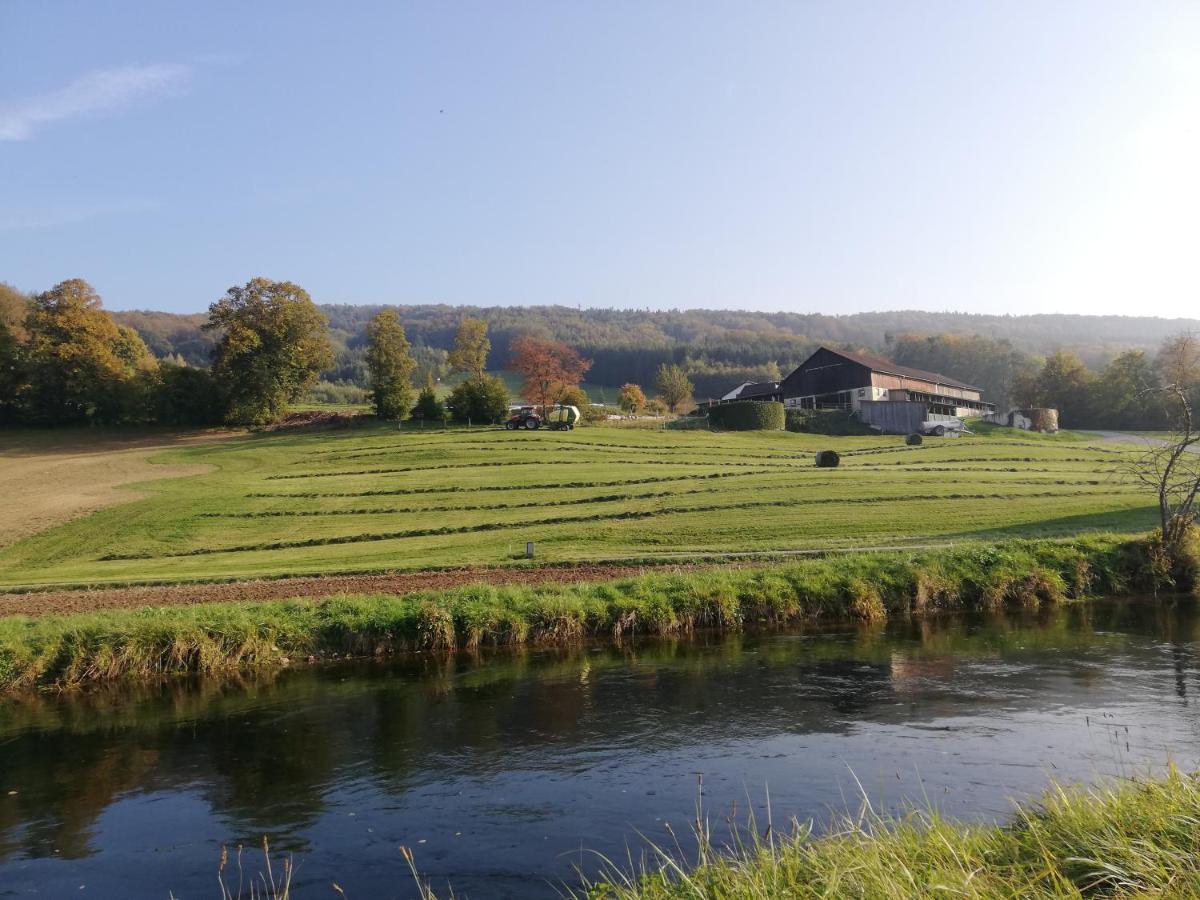 Gruenbauerhof Apartment Wilhelmsburg ภายนอก รูปภาพ