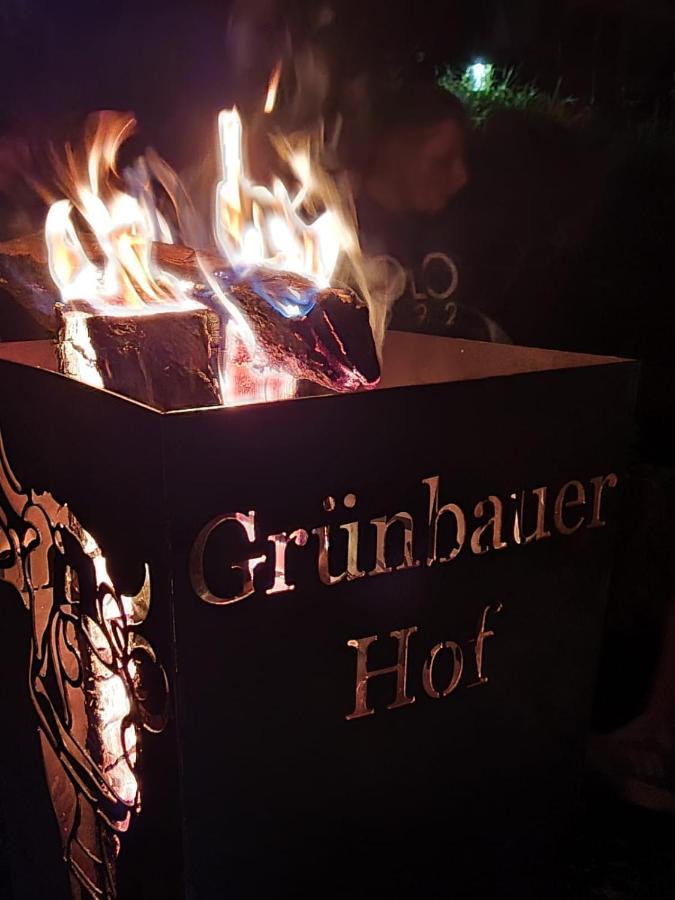 Gruenbauerhof Apartment Wilhelmsburg ภายนอก รูปภาพ